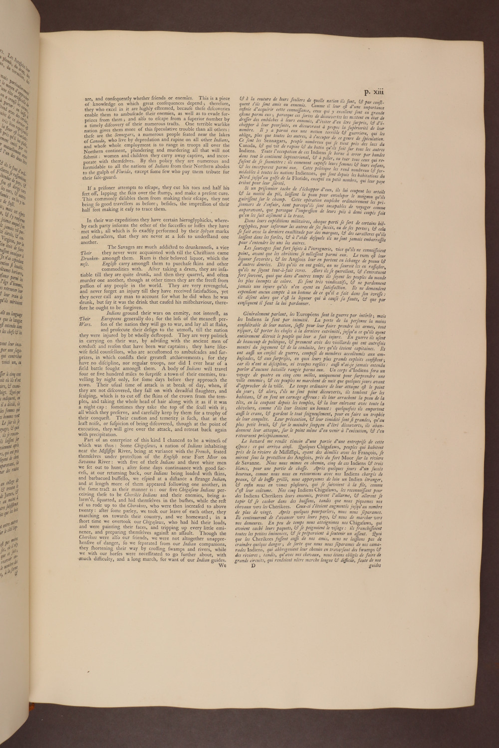 Page xiii
